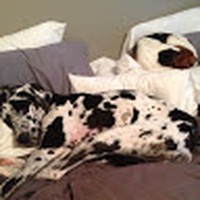 Profile Picture of Steven Guenthner (@steven-guenthner-1) on Quora