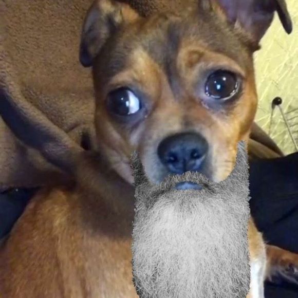 Profile Picture of Cordelia Wright (@cordelia_wright) on Poshmark