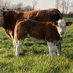 Profile Picture of Peter Fagan (@peterfagan5) on Instagram