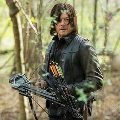 Profile Picture of Daryl Dixon (@VictorG21119083) on Twitter