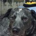 Profile Picture of Guy Howard (@guy.howard.96) on Facebook