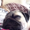 Profile Picture of olivia moore (@@liv.mooore) on Tiktok