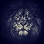 Profile Picture of Patrick Knechtel (@patrickknechtel) on Instagram