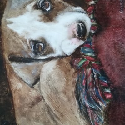 Profile Picture of Paula Linder (@paulalinder11) on Twitter