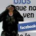Profile Picture of Hector Fuster (@hector.fuster.7) on Facebook