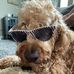 Profile Picture of Carolyn Pelz (@carolyn.pelz.3) on Facebook