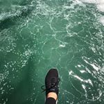 Profile Picture of Scott Cho (@scott_nik22) on Instagram