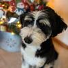 Profile Picture of gloriaschumacher64 (@gloriaschumacher64) on Tiktok
