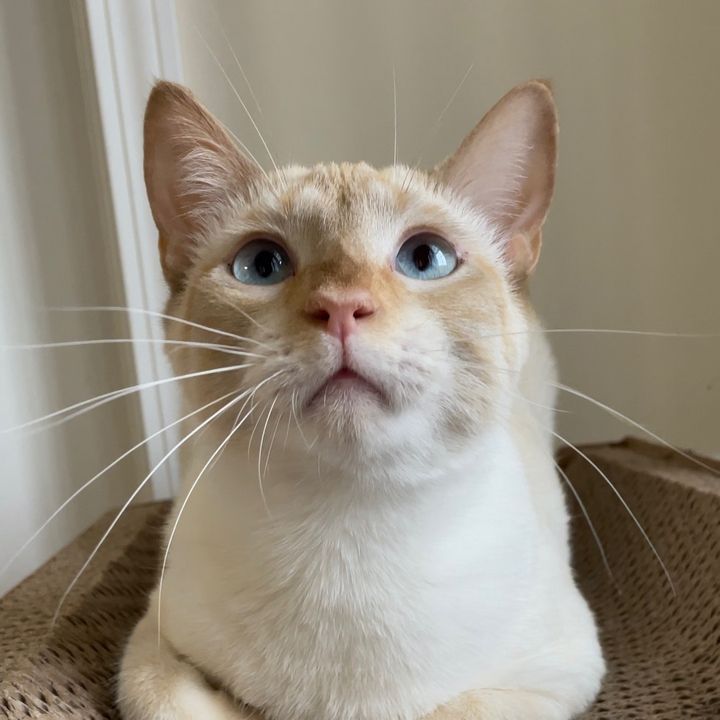 Profile Picture of Danforth (@_danforth_) on Tiktok
