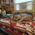 Profile Picture of Randy L Overbey (@randy.l.overbey) on Facebook