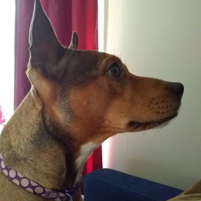 Profile Picture of Nick Beaudoin (@NickBeaudoin6) on Twitter