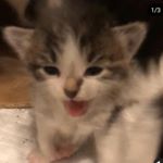 Profile Picture of Andrew Ledezma (@odd.films) on Instagram