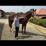 rajesh hegde - Instagram Profile Picture of rajesh hegde (@rajesh___hegde) on Instagram