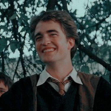 Profile Picture of Cedric Diggory (Parody) (@GoldenBoyXoxo) on Twitter