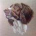 Profile Picture of Julia Plotkin (@Julia-Plotkin) on Facebook