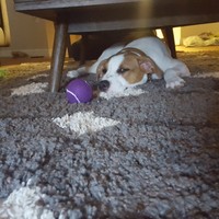 Profile Picture of Daniel Day (@daniel-day-65) on Quora