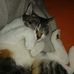 Profile Picture of Randy Engel (@randy.engel.7921) on Facebook