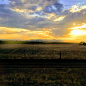 Profile Picture of Marika Basagoitia (@marikabasagoitia6828) on Youtube