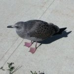 Profile Picture of britt_adams00 (@britt_adams00) on Instagram