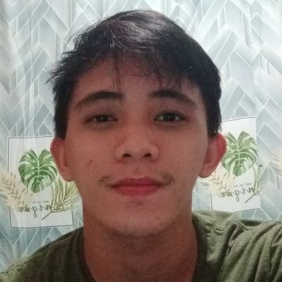 Profile Picture of Anthony Quintos (@AnthonyQuintos6) on Twitter