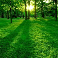 Profile Picture of Joel Valerio (@joel-valerio) on Quora