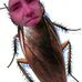 Profile Picture of Derek Rausch (@derek.rausch.1) on Facebook