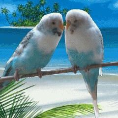 Profile Picture of Basilio Hernández (@BhnTonia) on Twitter