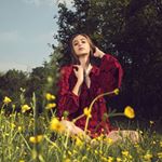 Profile Picture of shane_kearns_414 (@shane_kearns_414) on Instagram