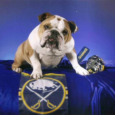 Profile Picture of David H.schnell (@machschnell810) on Twitter