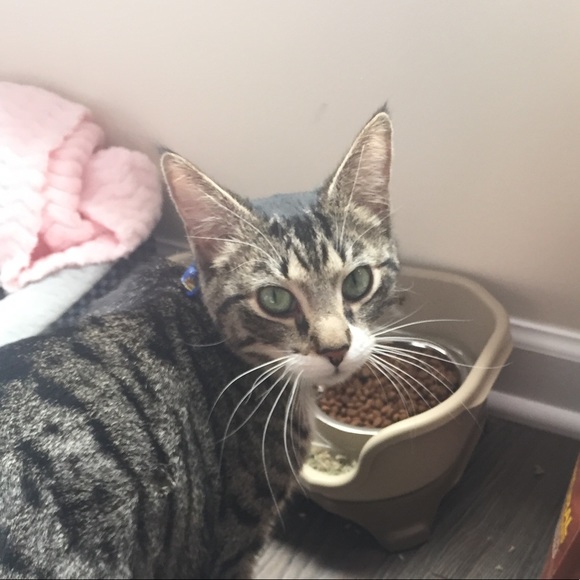 Profile Picture of Jacob Seymour (@seymourja) on Poshmark