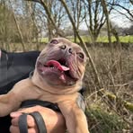 Profile Picture of Curtis Powell (@curtis.powell.1426) on Facebook