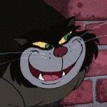 Profile Picture of David Novitsky (@doesdavidknow) on Tiktok