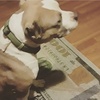 Profile Picture of Jim LaGrange (@@2176356937) on Tiktok