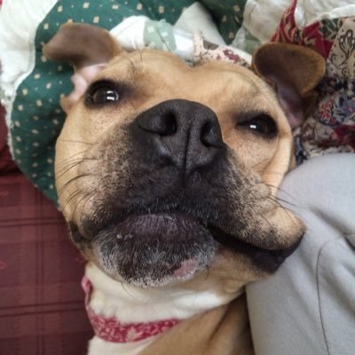 Profile Picture of Michelle Ostroff (@michabeth1023) on Twitter