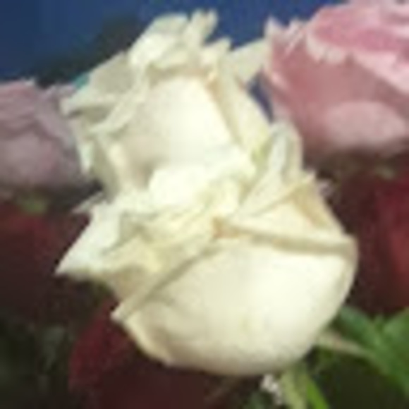 Profile Picture of Kenisha Marshall (@kenishamarshall) on Poshmark