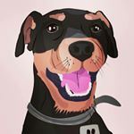 Собака ягодка 🐾 ягдтертер - Instagram Profile Picture of Собака ягодка 🐾 ягдтертер (@mike_jagd) on Instagram