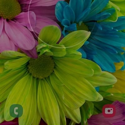 Profile Picture of Debbie Stubblefield (@DebbieS46505445) on Twitter