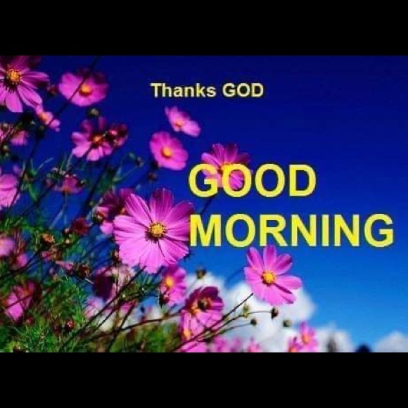 Profile Picture of Pauline Rizk (@paulinerizk) on Poshmark