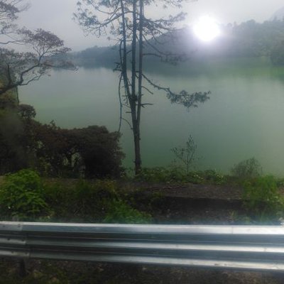 Profile Picture of Maximo Cabrera (@jovita66) on Twitter