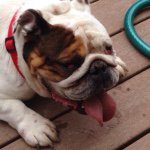 Profile Picture of Jim curtin (@grampypotatohead) on Instagram