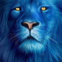 Profile Picture of Bobby Jo Reyna (@bobby-jo-reyna) on Quora