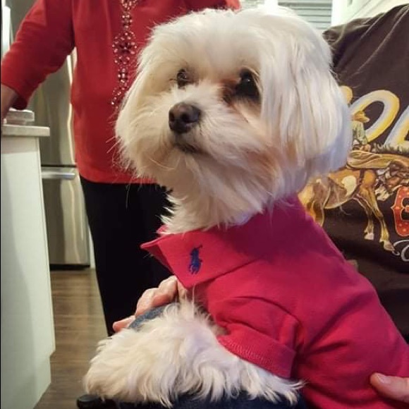 Profile Picture of Jamie Daniels (@jamief1970) on Poshmark