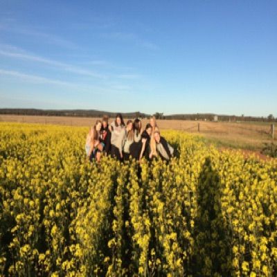 Profile Picture of Lacey Borger (@lace_borg) on Tiktok