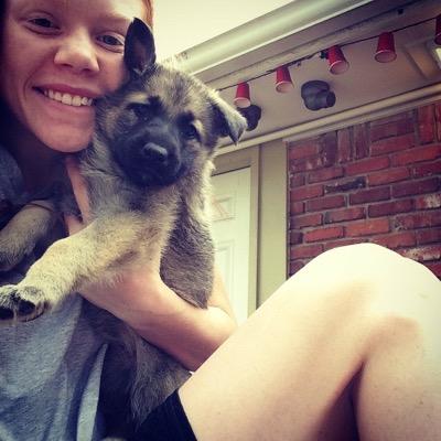 Profile Picture of Danielle Collier (@danni_collier) on Twitter