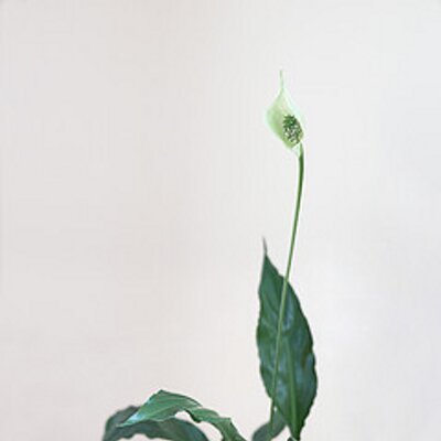 Profile Picture of Martyn Griffiths (@MartynGriffith3) on Twitter