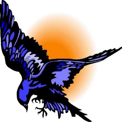 Profile Picture of Shannon (@iFalcon01xi) on Twitter