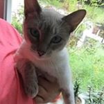 Profile Picture of Pat Justice Calvin (@pat123calvin) on Instagram