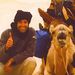 Profile Picture of Peter Hauser (@pepinovs15) on Pinterest