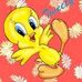 Profile Picture of Sandy PasserelloScribner (@Sandy-Passerello-Scribner) on Facebook