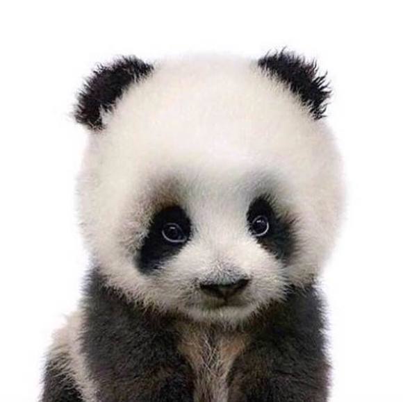 Profile Picture of Donny Tusler (@dktguy) on Poshmark